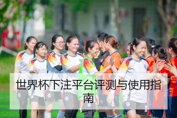 世界杯下注平台评测与使用指南